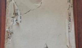 广西索玛店最新爆料,揭秘神秘新品背后的故事