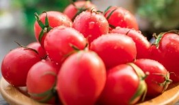 西红柿爆料人员是谁啊视频,真相大白！